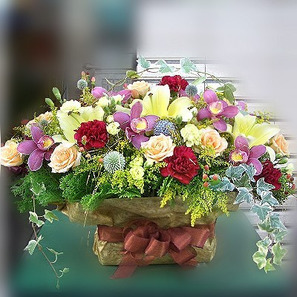 康乃馨百合蘭花桌上盆花